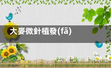 大麥微針植發(fā)3000單位要花多少錢？2.5萬元起，附新價格表和術(shù)后結(jié)果對比！